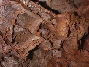 Boxwork in Wind Cave