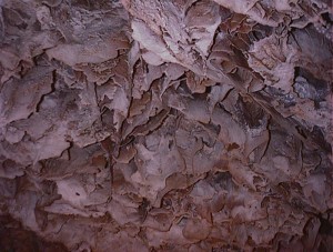 A ceiling covered in boxwork