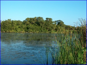 EcoPond