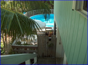 Eric & Jeanette's side yard
