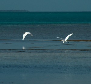 . . . and suddenly became very popular!