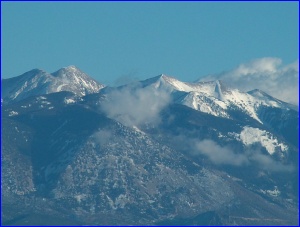 La Sals closeup