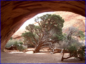 Navajo Arch