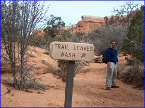 Trail leaves, wash Sterling