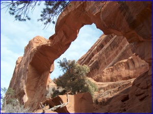 Wall Arch