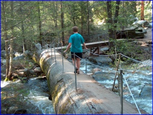 Teresa On Log Bridge