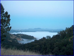 Foggy Valley