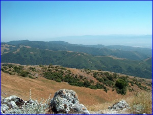 Fremont View