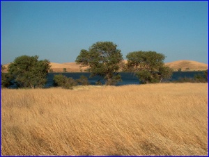 O'Neill Forebay