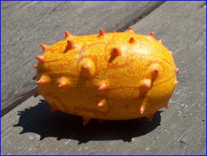 Weird Melon...