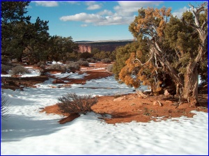 High desert winter