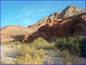 Virgin River Gorge
