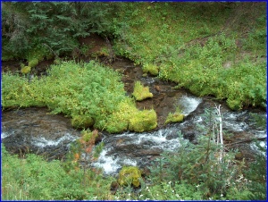 Annie Creek