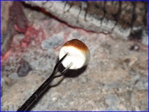 Marshmallow