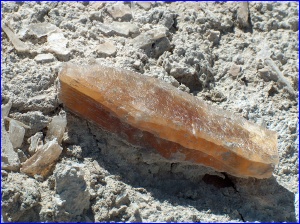 Amber Selenite