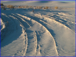 Dune Tracks