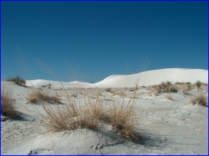 Interdune