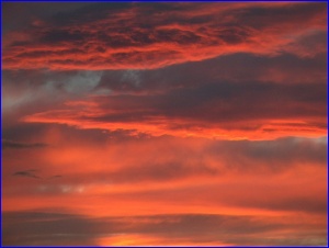 Sunset Closeup