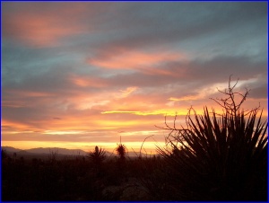 Oliver Lee Sunset