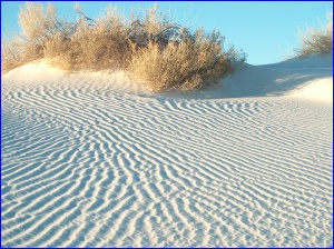Ripples & Bush