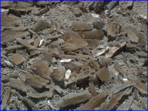 Selenite Crystals