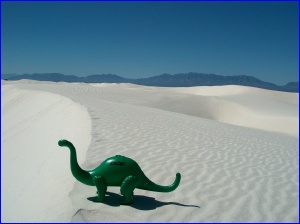 White Dune Sinclair
