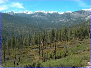 Monarch Range