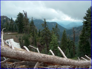Cloudy View