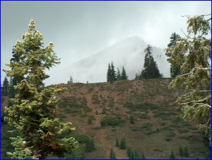 A Misty Peak