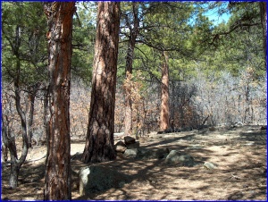 the Deer Run Trail in Sugarite