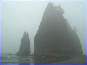 Foggy Stacks