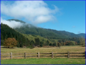 Greener Pastures