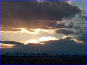 VLA Sunset