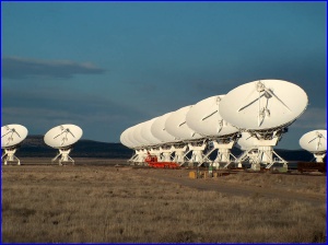 Antennae closeup