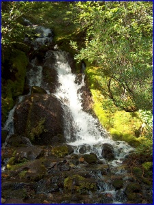 Cascade
