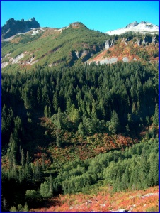 Colorful Valley