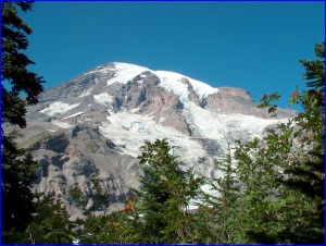 Mt. Ash Berries