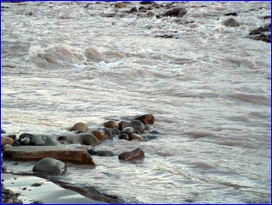 Pink River