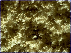 mmmmm, popcorn