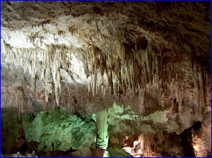 the Green Lake Room