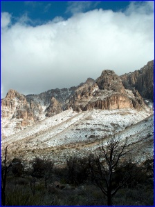 Snowy Guadalupes