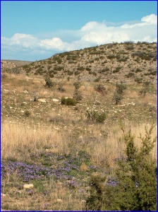 Walnut Canyon