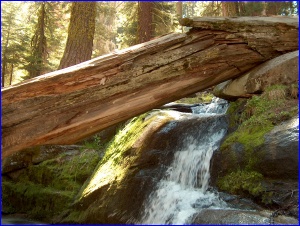 Log & Stream