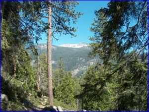 Sierra Trail