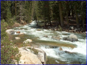 Tokopah River