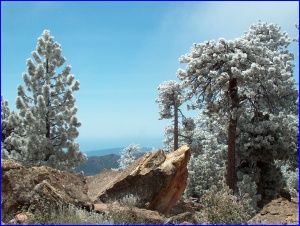 Hoarfrost