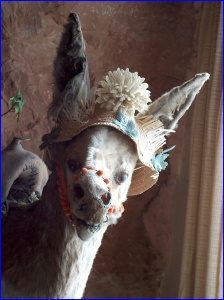Dead Donkey