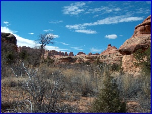Distant Needles