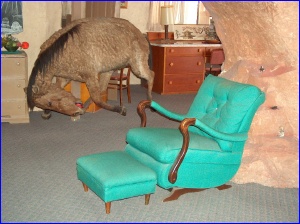 Mustang Chair