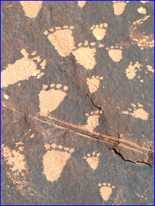 Newspaper Rock Prints
